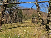 37 Roccolo della Passata